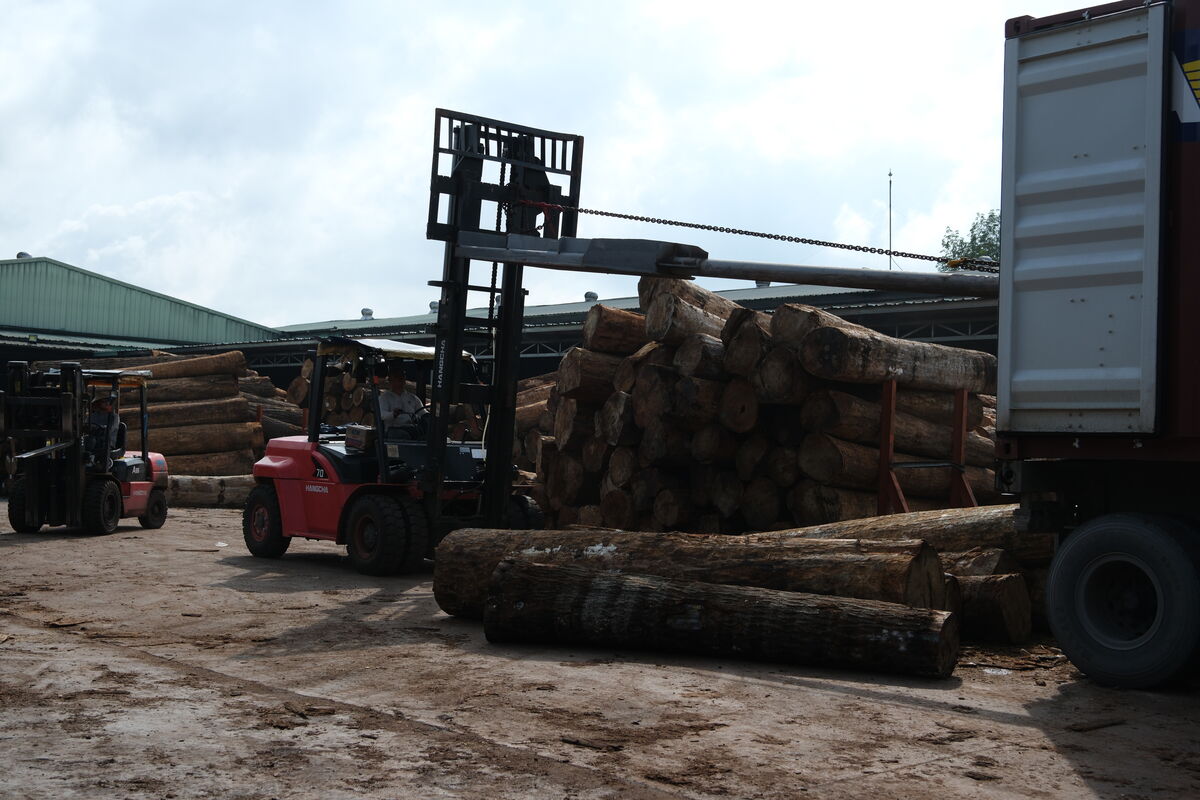 Natural Hardwood — Industrial-Scale Vietnam Hardwood Supplier